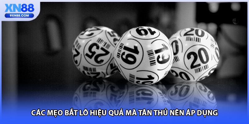 Các mẹo bắt lô hiệu quả mà tân thủ nên áp dụng