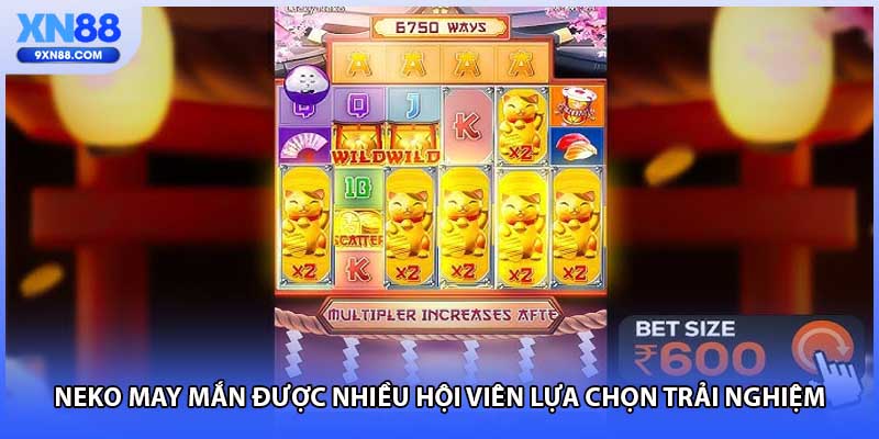 Neko may mắn được nhiều hội viên lựa chọn trải nghiệm
